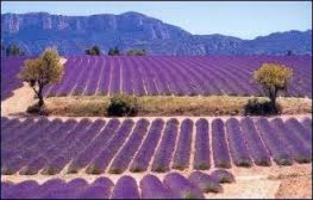 Camping à vendre en Provence