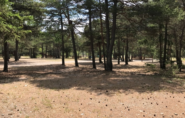 superbe camping à vendre en PACA, coup de coeur !!