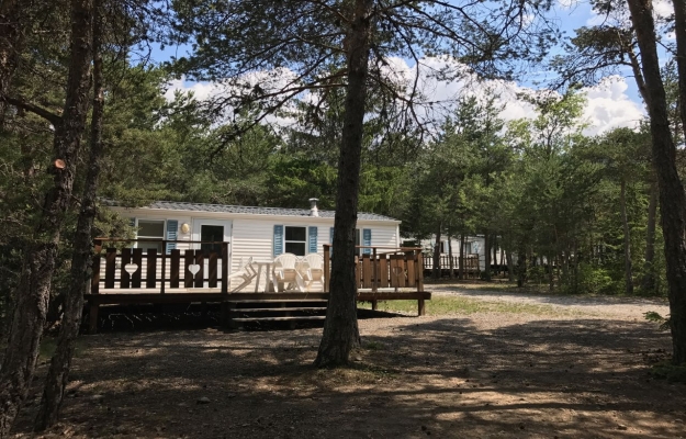 superbe camping à vendre en PACA, coup de coeur !!