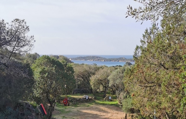 Corse du Sud, camping à la vente