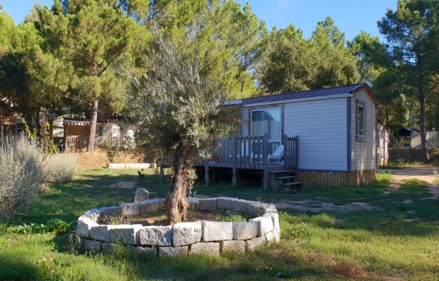 Fonds de commerce en vente Corse du Sud
