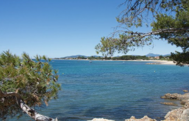 A VENDRE CAMPING FACE À LA MER
