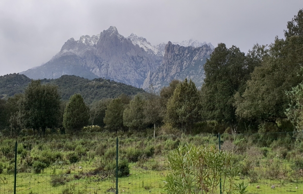 Haute-Corse camping à vendre