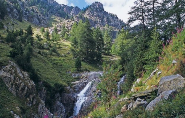 A Vendre Camping Arrière Pays Côte d'Azur